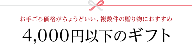 4 000円以下のお年賀ギフト スモーク エース