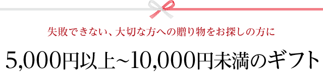 5 000円以上 10 000円未満のお年賀ギフト スモーク エース